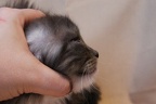 20120110 6v hoitytoityface-60