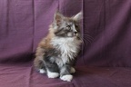 20120124 8v hoitytoityface-28