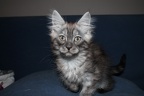 20120209 10v wecatchdiamond-10