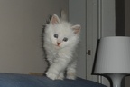 20120603 10v onestarsimoni-22