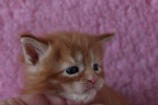 20120902 4v luckytobeme-22