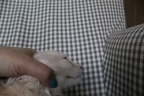 20130117 12v makingkosing-04