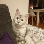 20191207 Blondie-01