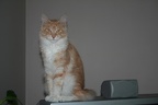 20080511 athena-02