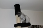 20111222 silvia-10