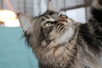 20120510 wildatheart-11