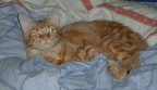 20060624 krafla-02