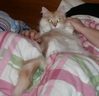 20090515 simone-01