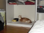 20100130 simone-02