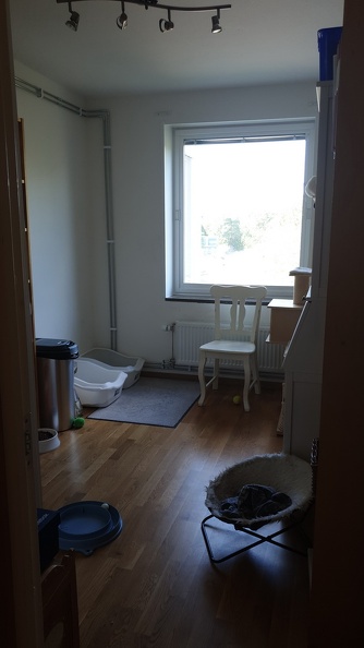 This is the boy's bathroom , they got a room for the toilets, they have one more litterbox in my bedroom where they all sleep in bed with me each night. 20190726_extraroomboysarea-04.jpg