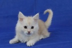 20201230 10v tayanita-13