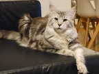 20211015 Sadie-06