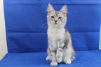 20230513 Kitthina-12