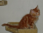 20060702 9v keilir-11