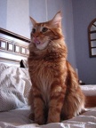 20070103 keilir-01