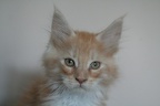 20090712 11v anubis-13