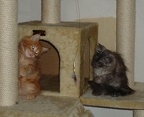 20060621 keilir-silvia-15