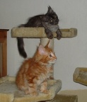 20060702 keilir-silvia-03