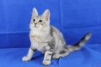 20210821 eleazar-31