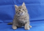 20240529 8v sammy-13