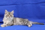 20250324 lilly-21
