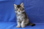 20250413 06v leo-25