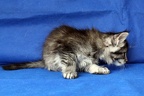 20250428 leo-24